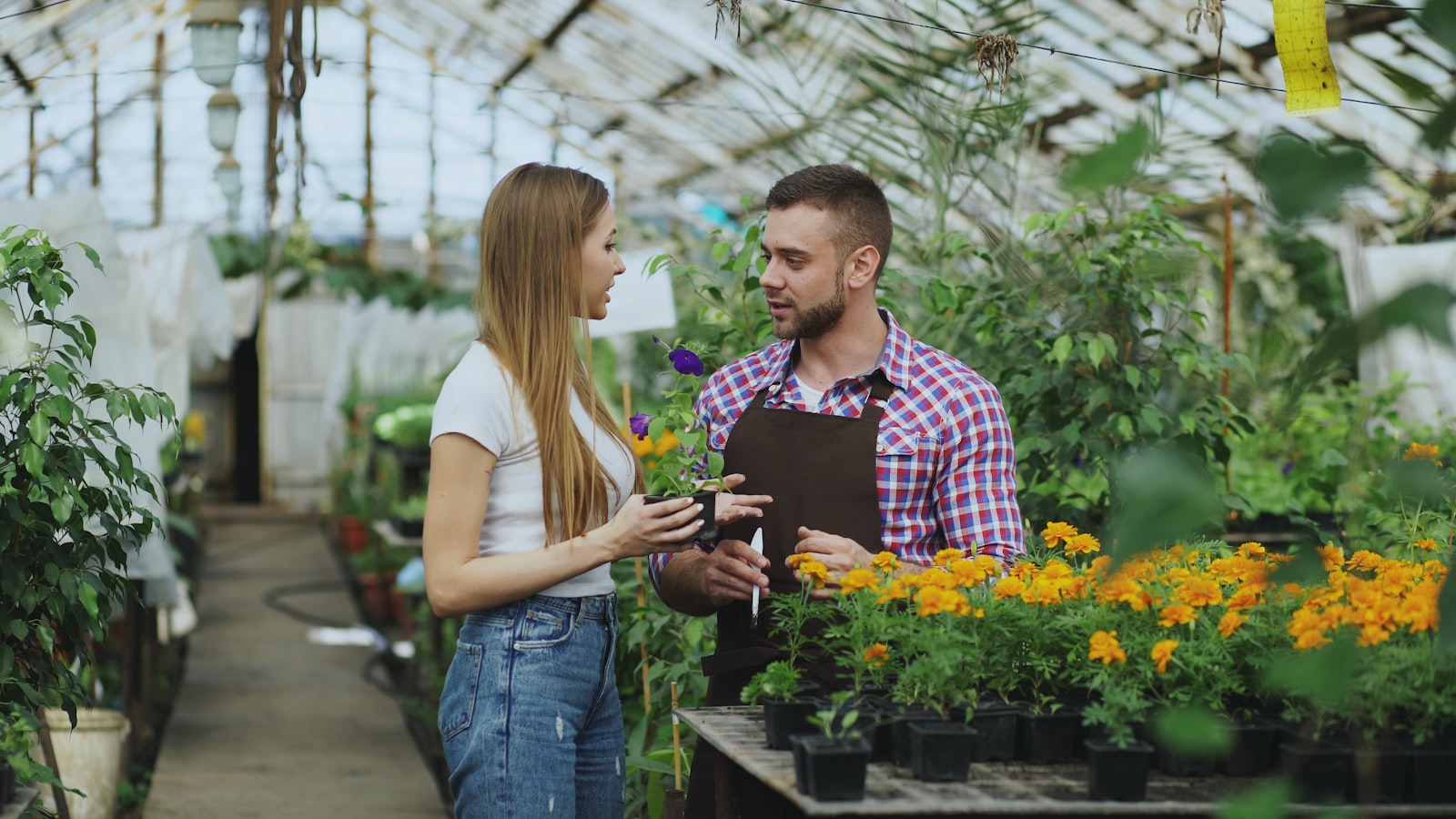 Artisan expliquant l'intervention à son client dans le jardin, Yvelines & Hauts-de-Seine