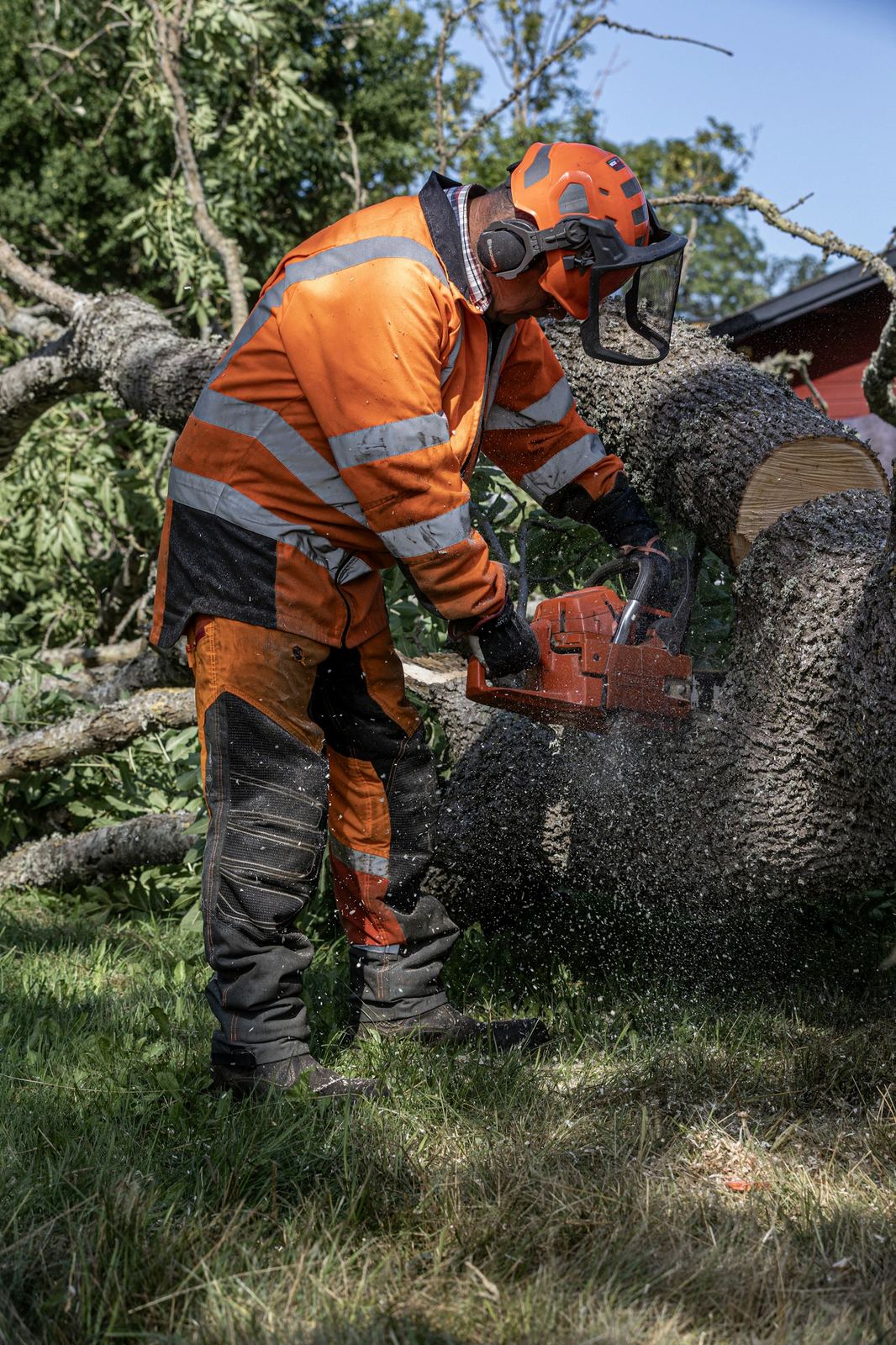 Bûcheron à la tronçonneuse, abattage et démontage d'arbre, Yvelines & Hauts-de-Seine